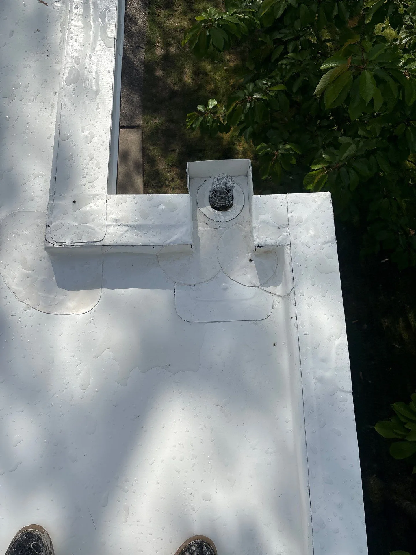 A white flat-roof corner with a caged drain and scupper set into the parapet, the membrane wrapped into the opening and welded patches finishing the corner watertight.
