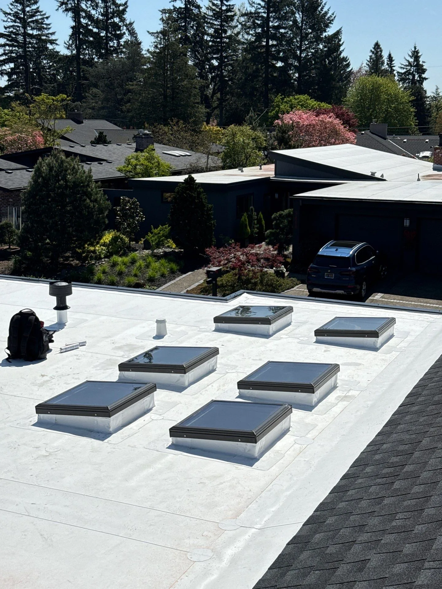 A bright white flat roof with six dark-framed skylights flashed and sealed into the membrane, overlooking a sunny tree-lined neighborhood.