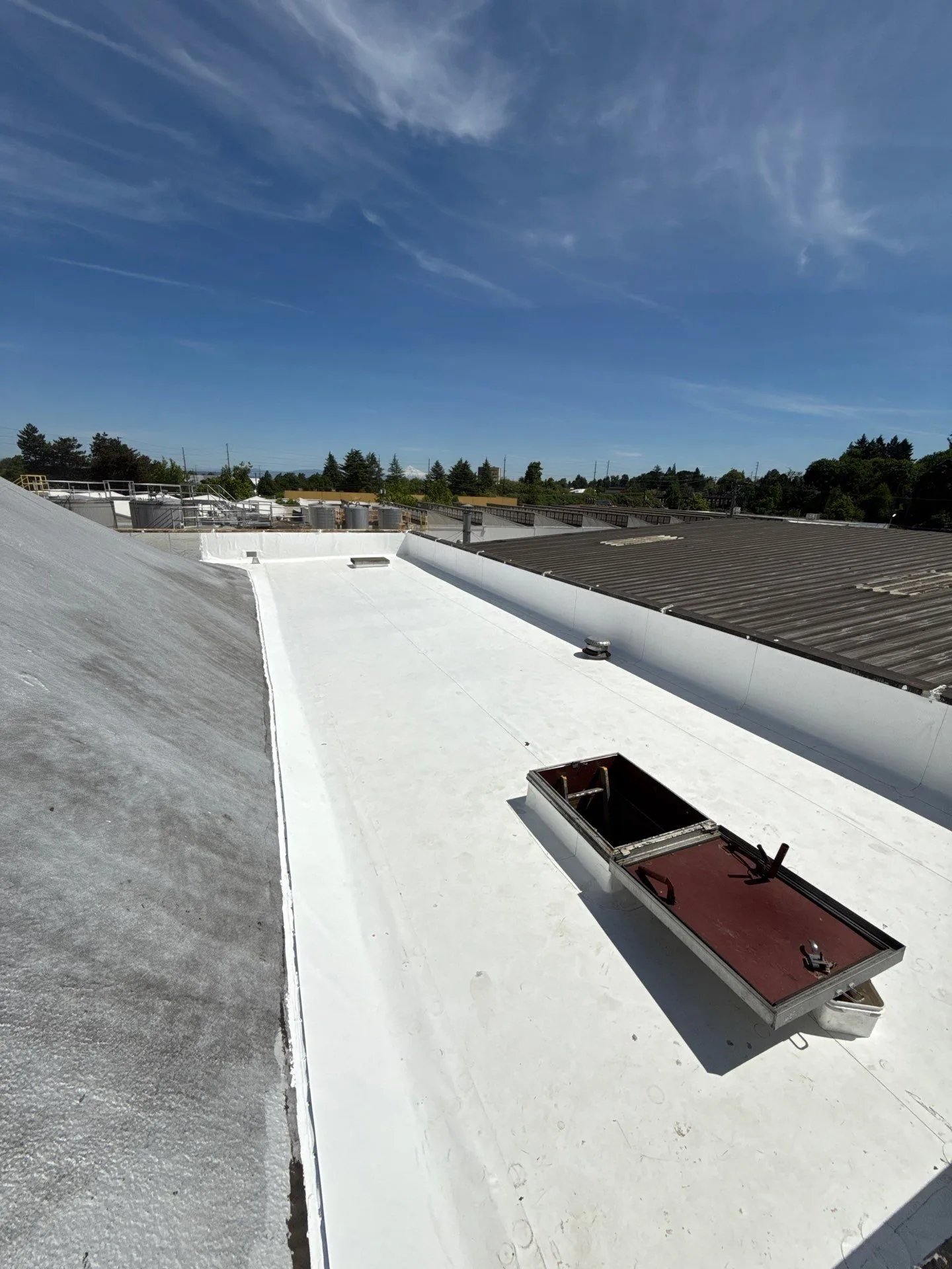 A freshly coated white flat roof under a clear blue sky, its perimeter and parapet finished in bright white, with a roof hatch set into the surface and a metal-paneled roof and tree line beyond.