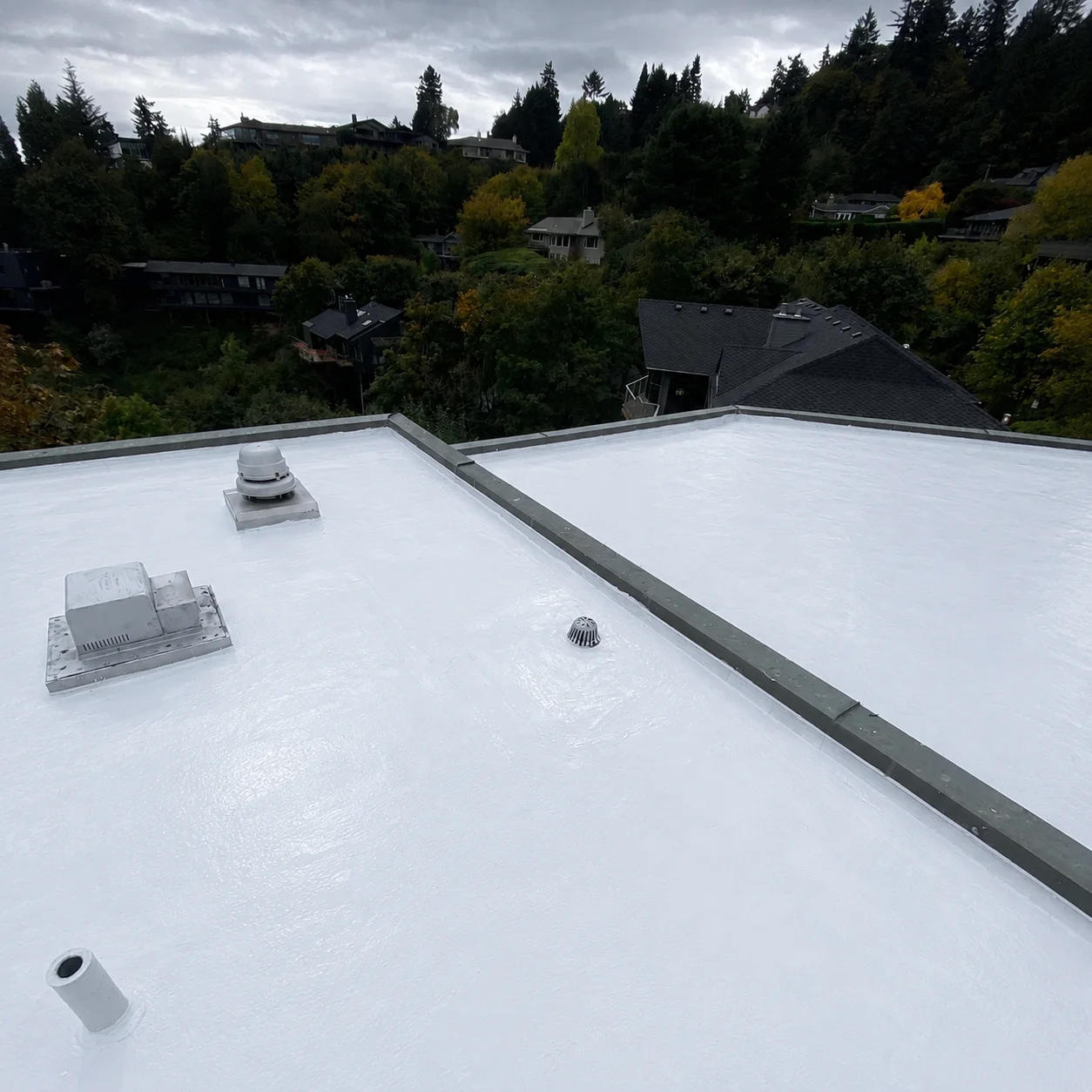 A residential flat roof freshly coated in white silicone running up to a metal-capped parapet, its vents and drain sealed in, with a wooded PNW hillside of homes behind it under an overcast sky.