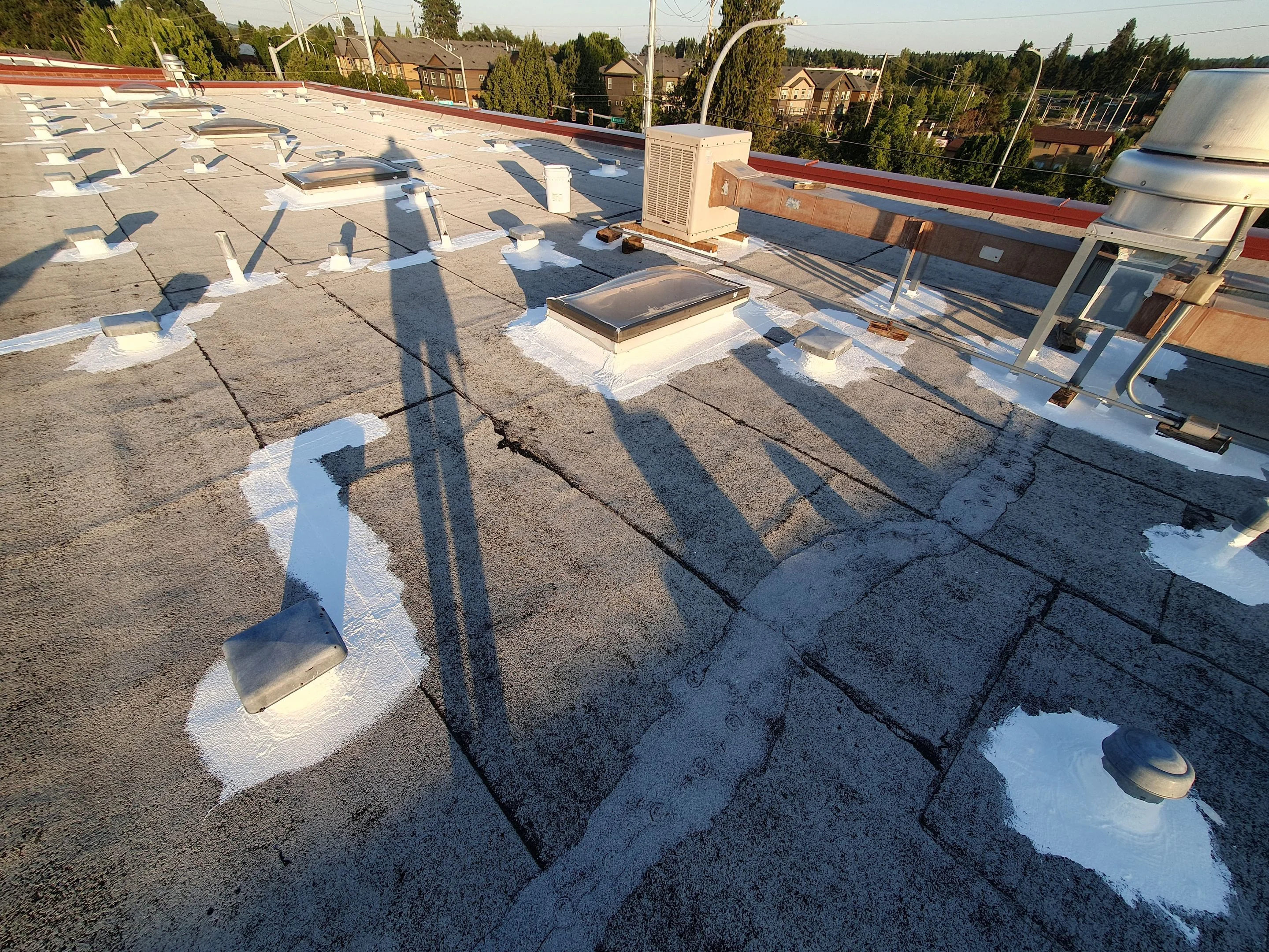 A flat commercial roof at golden hour with every vent, pipe, skylight, and curb sealed under bright white silicone while the dark field around them is still being coated, with a tree-lined neighborhood beyond the parapet.