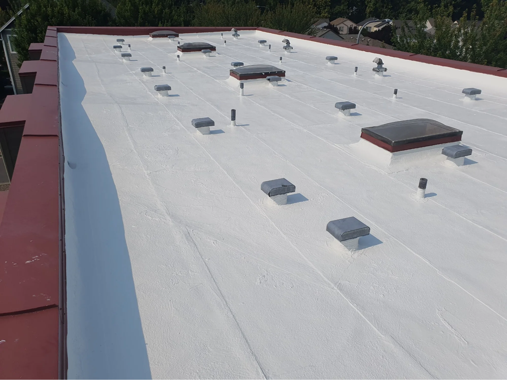 A flat commercial roof freshly coated in bright white silicone under a clear sky, its vents and two skylights sealed in and the surface running up to a red metal-capped parapet, with a wooded neighborhood of homes behind it.