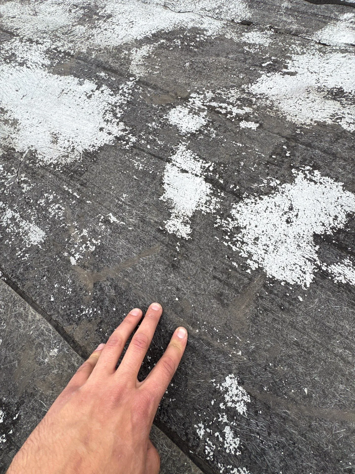 Close-up of a hand on a brittle old membrane, its top layer worn away to expose the fiber mat, dotted with chalky white patches