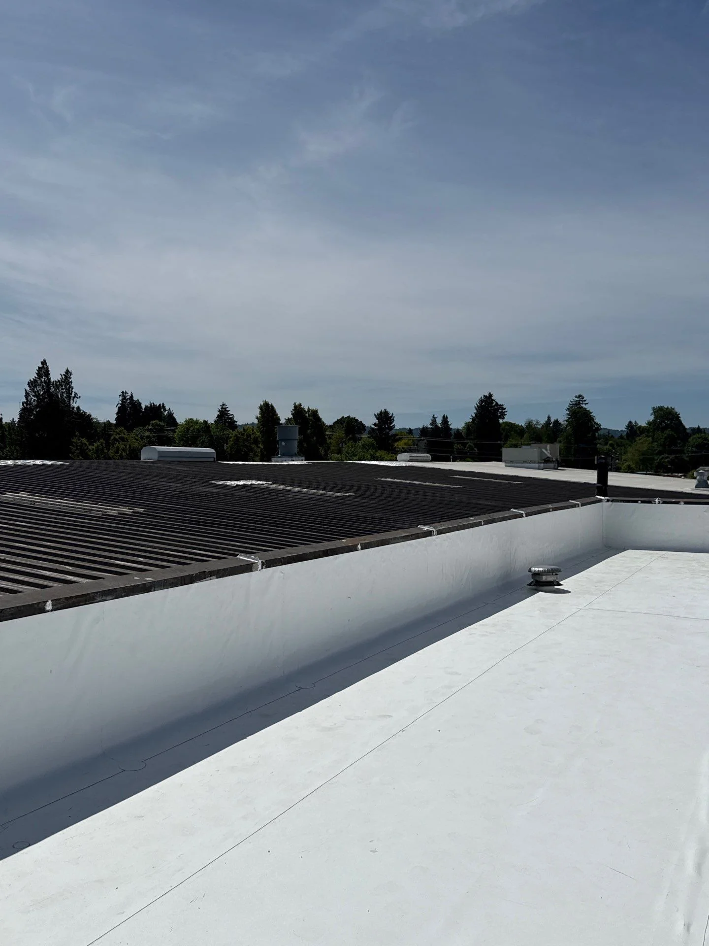 A fresh white flat-roof membrane carried up the parapet wall and sealed around a small vent, with an older black corrugated roof and tree-lined neighborhood in the background under a high blue sky.