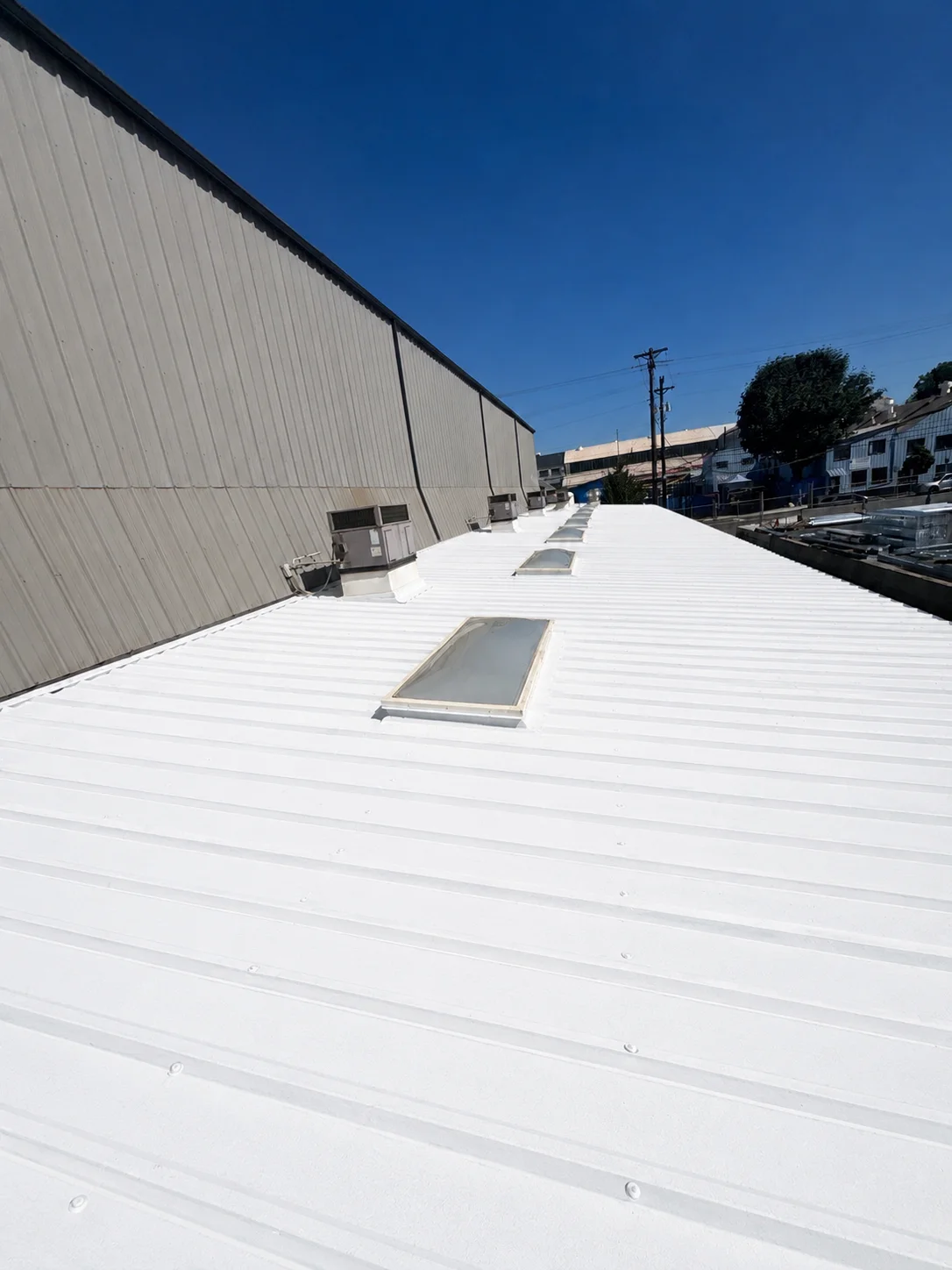 A standing-seam metal roof freshly coated in bright white silicone under a clear blue sky, its panel ribs, fasteners, and two skylights sealed in, running alongside the tall metal-clad wall of the building.