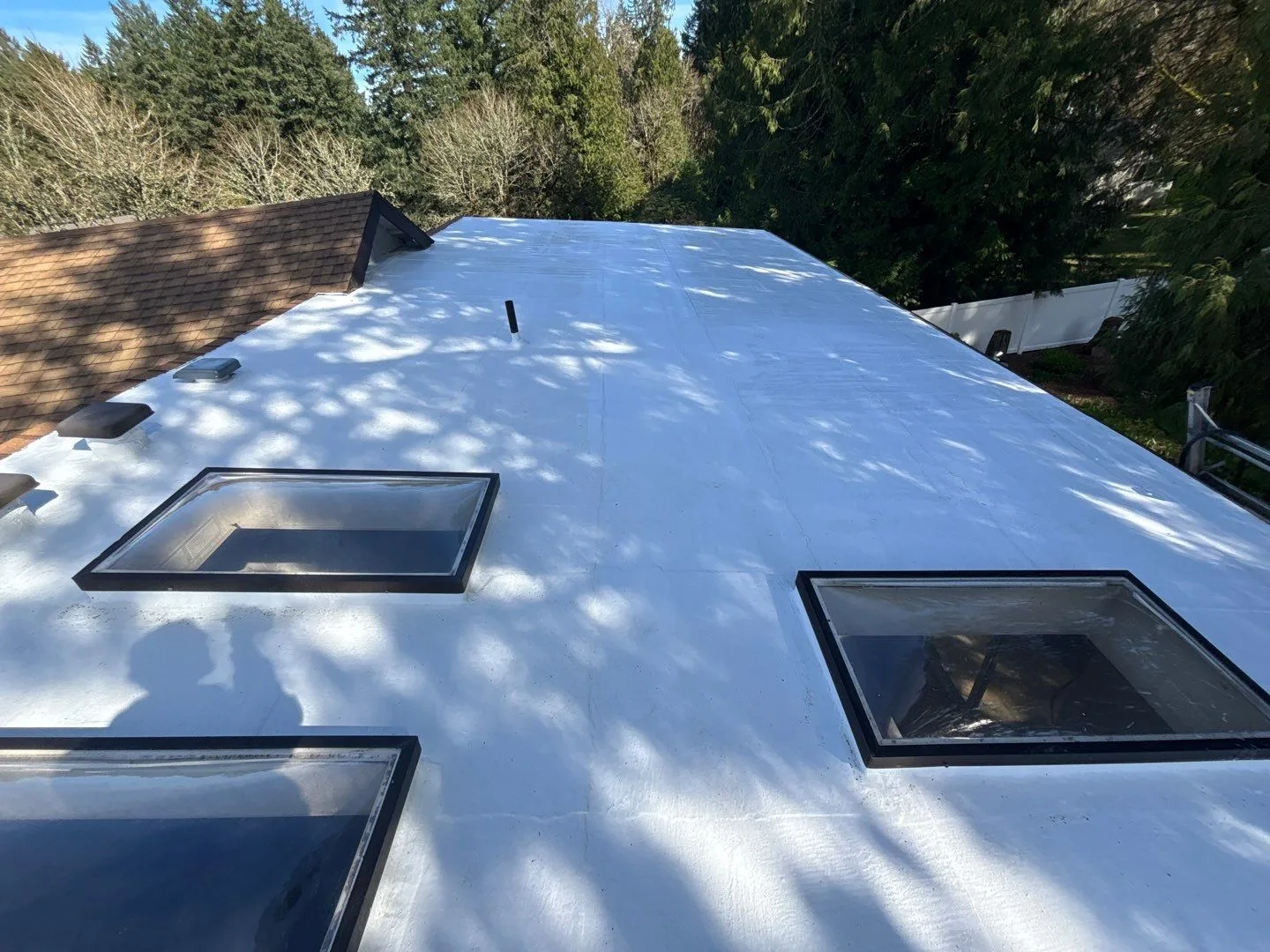 A residential flat roof renewed with seamless white silicone finished cleanly around its skylights, vent, and roofline edges.
