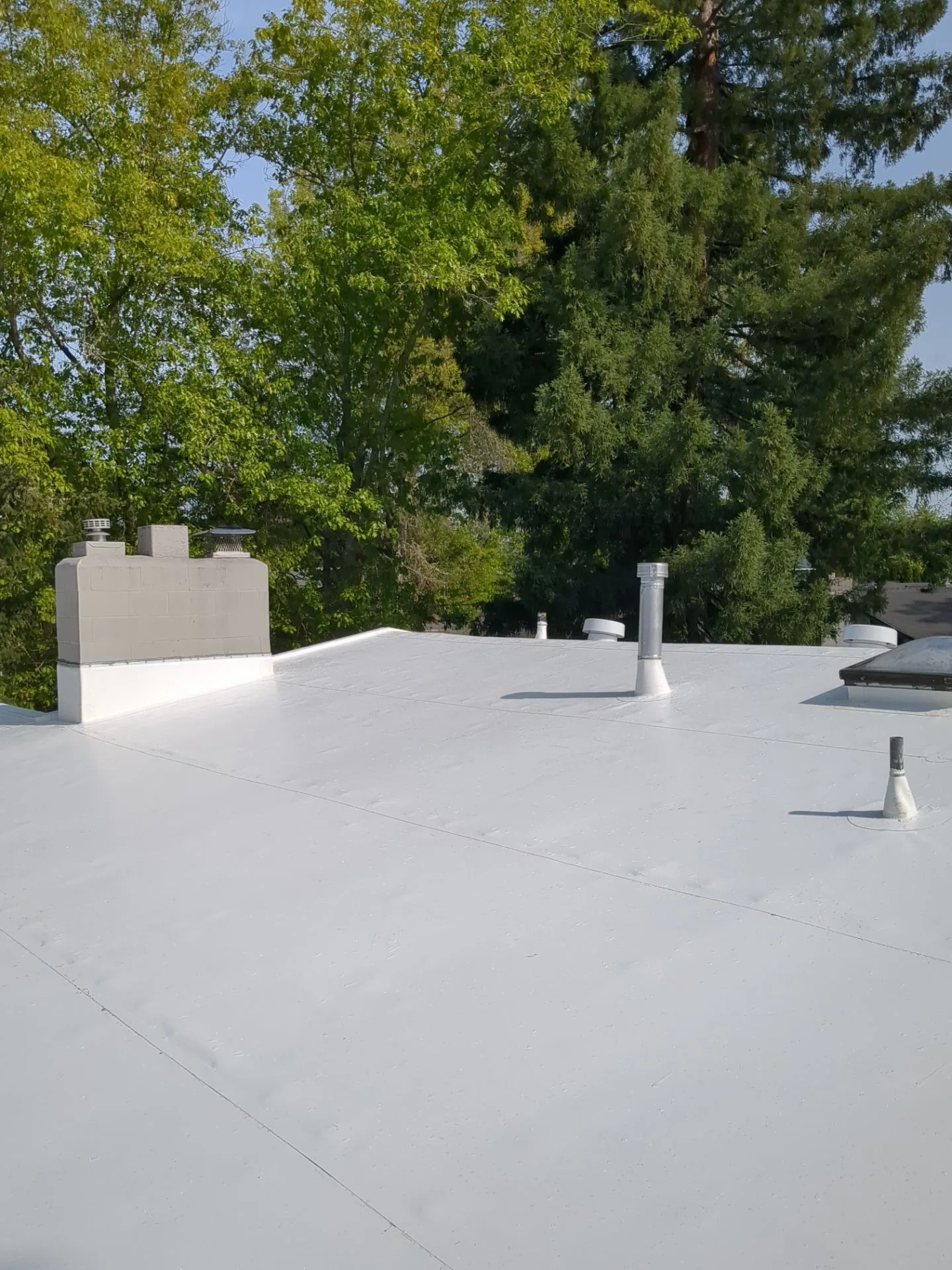 A fresh white membrane covering an entire flat roof, with vents and a chimney sealed in, framed by trees.